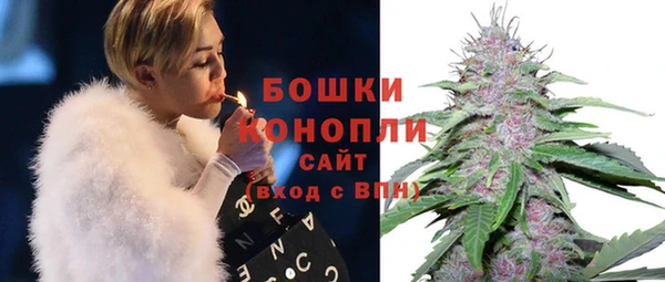 индика Гусиноозёрск