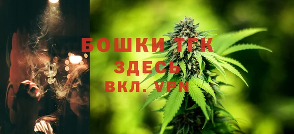 ALPHA-PVP Горнозаводск