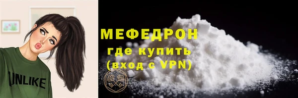индика Гусиноозёрск