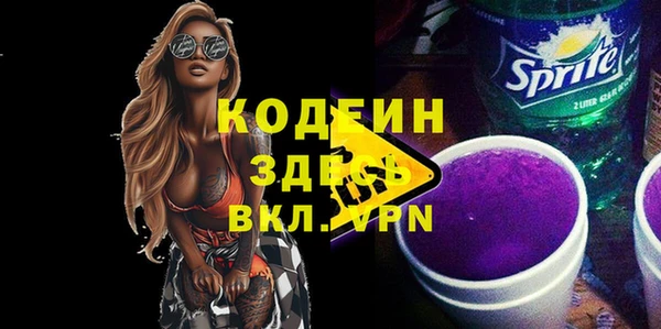индика Гусиноозёрск