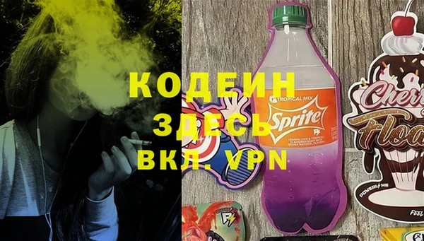 индика Гусиноозёрск