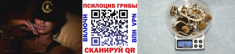 Купить где  Учалы  Псилоцибиновые грибы MAGIC MUSHROOMS 